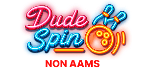 DudeSpins Casino logo